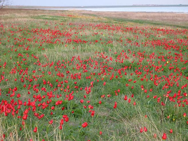 酷我_莎姨吧_俄罗斯最咸的湖泊--巴斯昆恰克湖