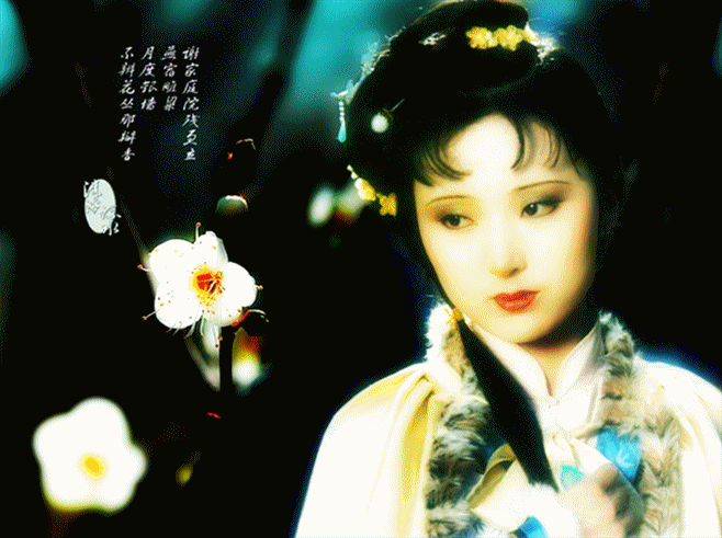 [转载]红楼梦动态画卷