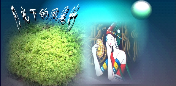 月光下的凤尾竹 葫芦丝