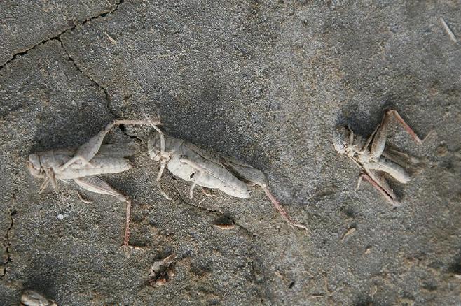 酷我_莎姨吧_俄罗斯最咸的湖泊--巴斯昆恰克湖