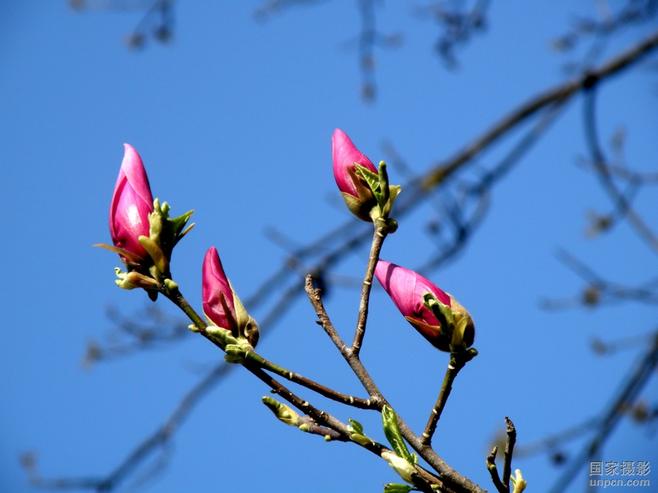 酷我_音乐人吧_河南草根歌手成网络红人 翻唱