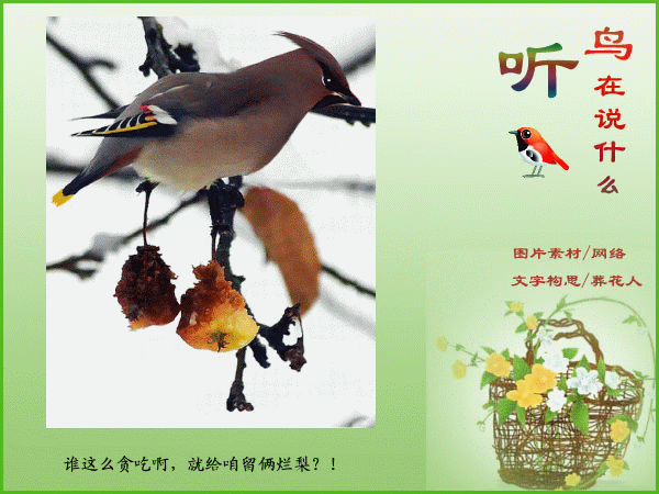 树上的鸟儿成双对出自哪个歌曲 1290979586769.gif