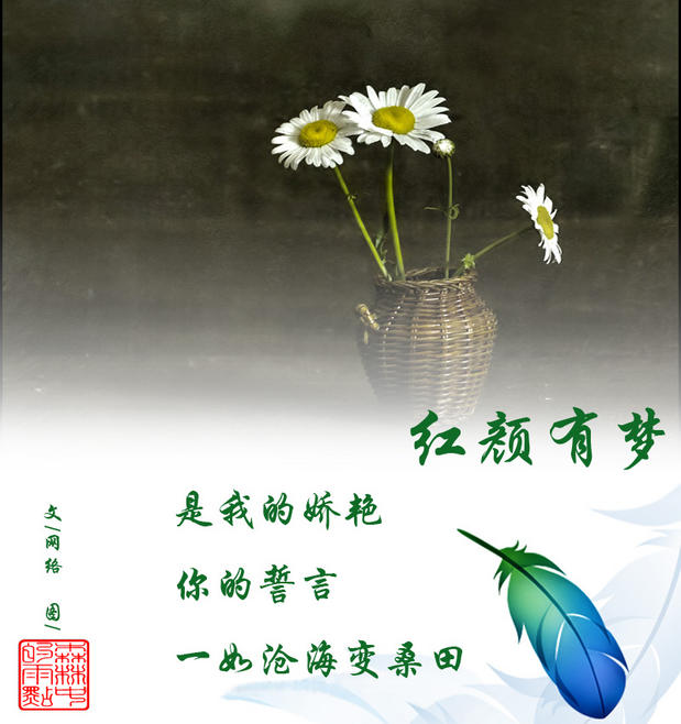 哀愁简谱_爱与哀愁简谱(3)