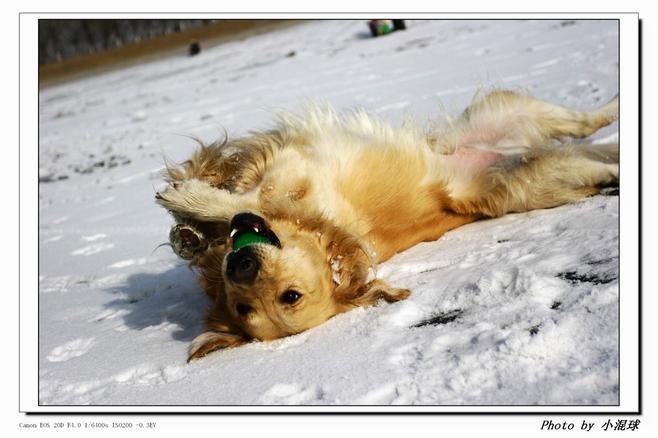 酷我_音乐长廊吧_(音乐评论)快让我在这雪地上撒点野