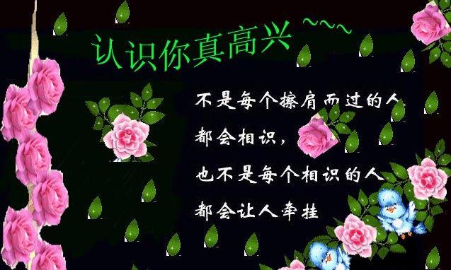 开心快乐每一天完整的歌 1286193034181.jpg