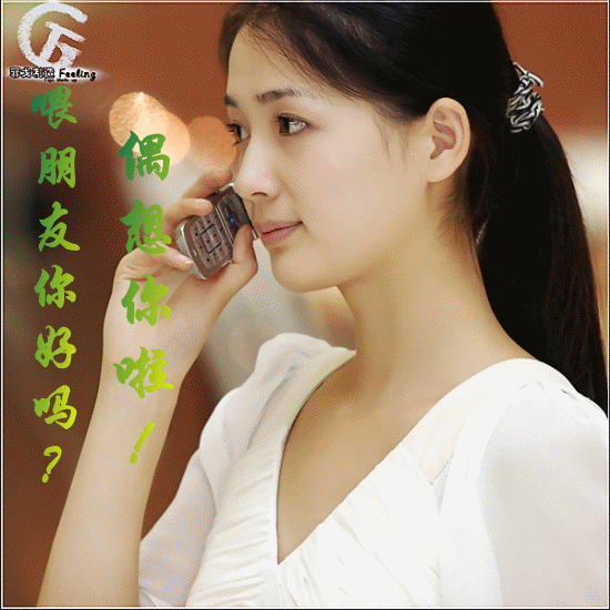 鹧鸪飞笛子独奏简谱图片分享下载