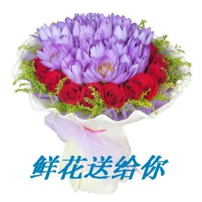 酷我_经典红歌吧_卓依婷 明天会更好