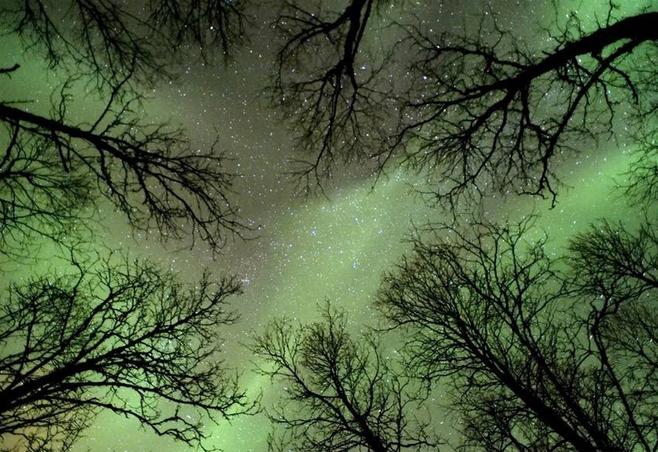 酷我_夕阳红吧吧_2010年天文摄影展之年度天