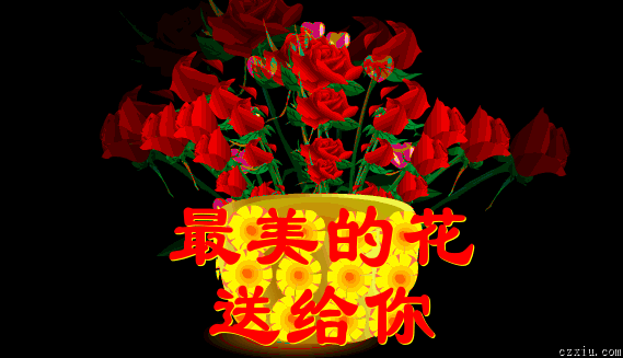 1258821990587.gif