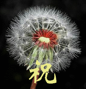 1290467392791.gif