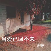 一个人，黄昏