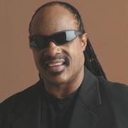 I Was Made To Love Her_Stevie Wonder