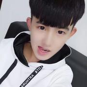 V5师