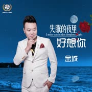 不想回家的女人(DJ版)