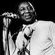 Muddy Waters