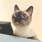 谢谢你这么爱我