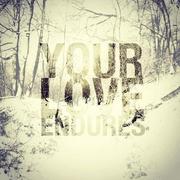 Your Love Endures - Single (2012-02-25 Christelijk en Gospel)