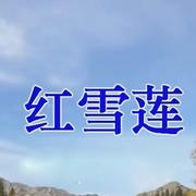 快三(舞曲)