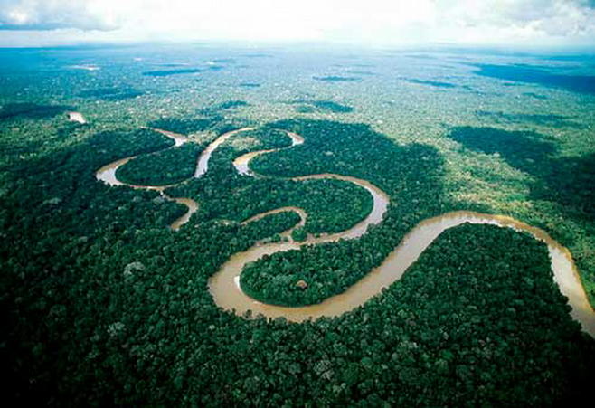    亚马逊雨林    亚马逊雨林,也叫亚马逊原始