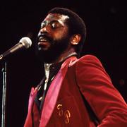 歌手Teddy Pendergrass的头像