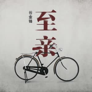 谷金锋