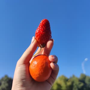 陈叶梅