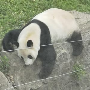 长岛听风