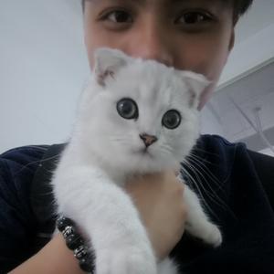 金少宇