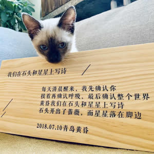 陈贵平