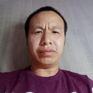 情定小蜜蜂