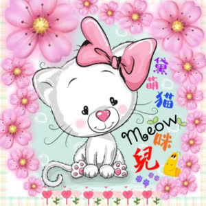 黛萌猫咪兒
