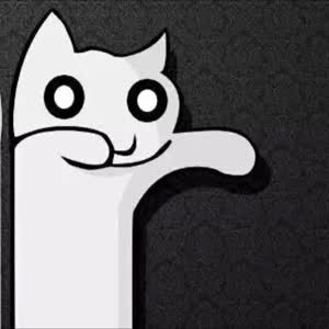 穿白T的黑猫